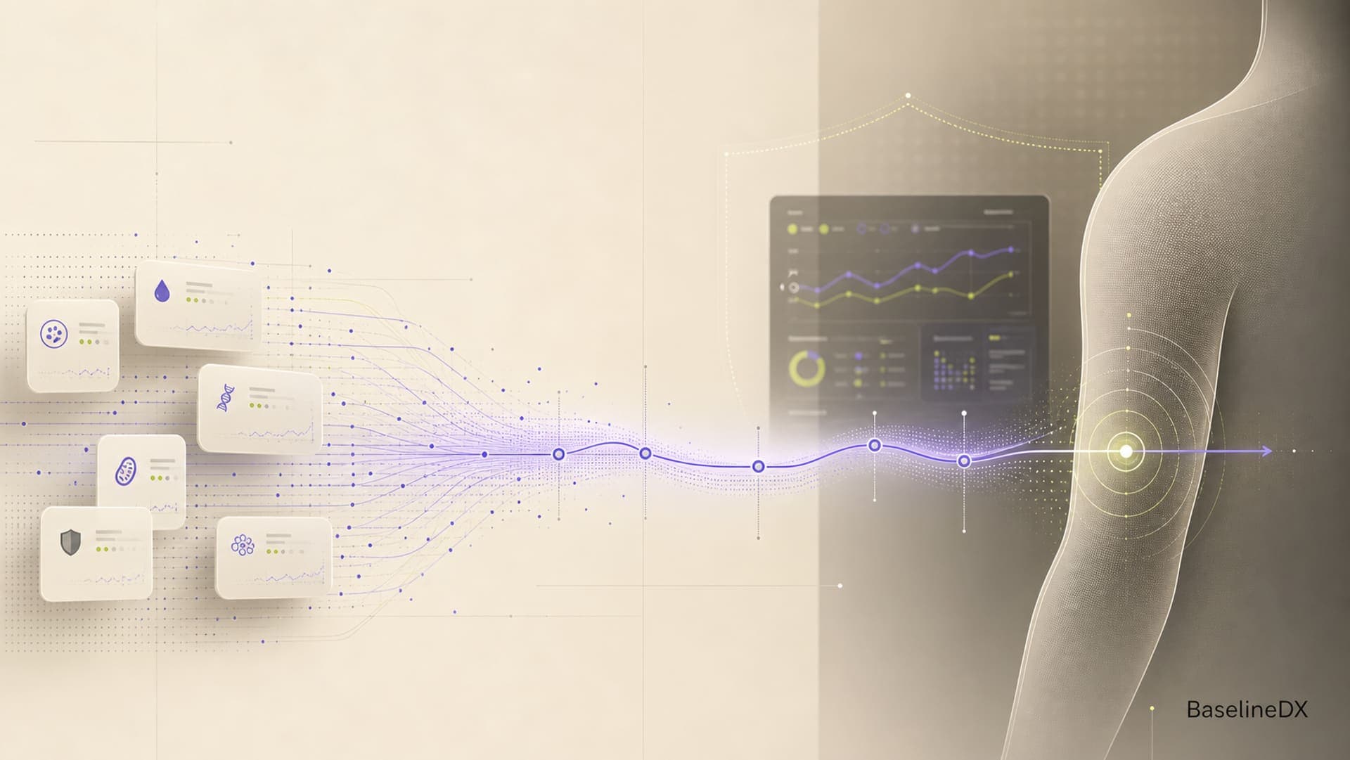 Abstract BaselineDX journey from supported collection through a protected progress dashboard